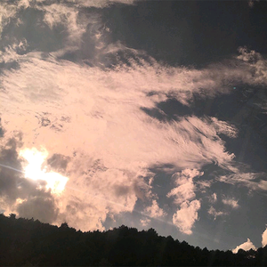 男人的屁股插到女人的嘴里屁股里动漫
